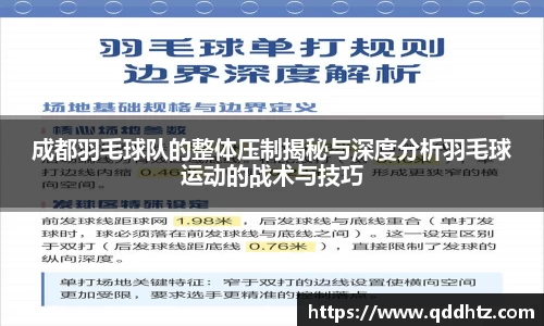 成都羽毛球队的整体压制揭秘与深度分析羽毛球运动的战术与技巧